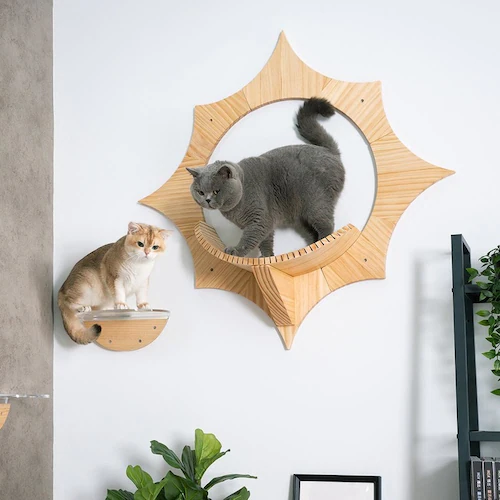 SOLAR MZ0043 【プラザセレクト】_5