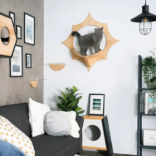 SOLAR MZ0043 【プラザセレクト】_6