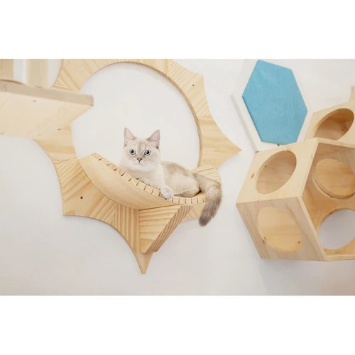 SOLAR MZ0043 【プラザセレクト】_10