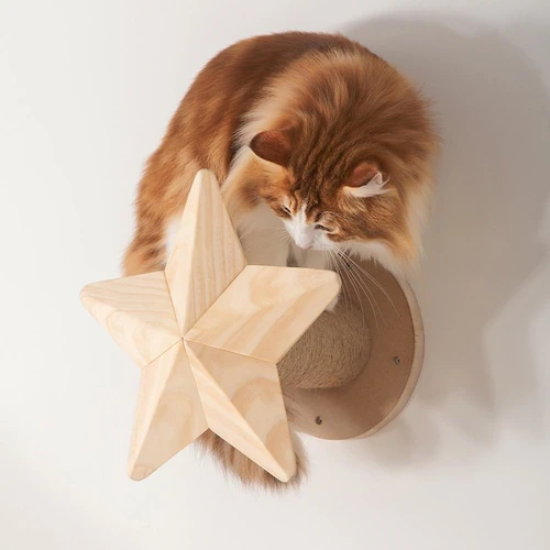 TWINKLESTAR MZ0044 �y�v���U�Z���N�g�z_2