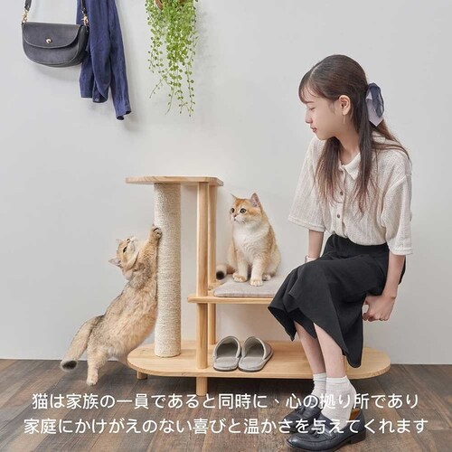 TRINEST�V���[�Y�X�c�[�� MZ0047 �y�v���U�Z���N�g�z_2