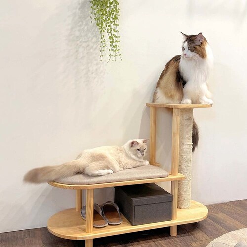 TRINEST�V���[�Y�X�c�[�� MZ0047 �y�v���U�Z���N�g�z_5