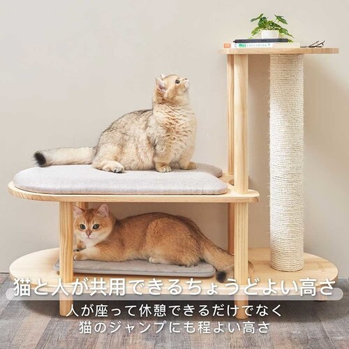 TRINEST�V���[�Y�X�c�[�� MZ0047 �y�v���U�Z���N�g�z_12