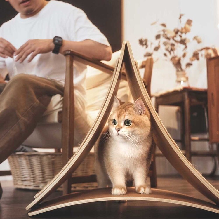 TRIPAWS猫用爪とぎボード MZ0048 7305237│アイリスオーヤマ公式通販