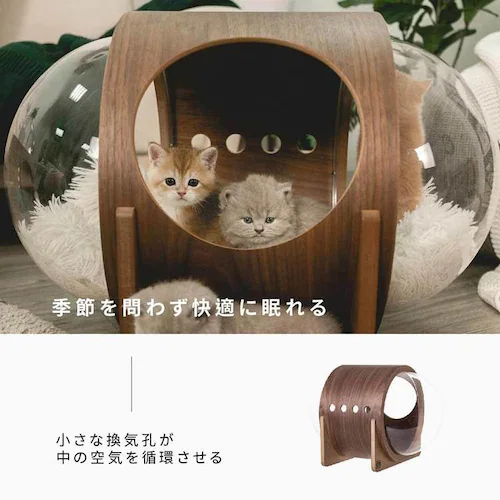 宇宙船ALPHA(ウォールナット) MZ0079 【プラザセレクト】_4