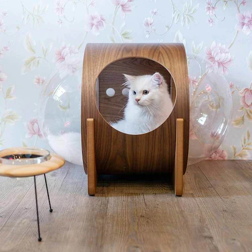 宇宙船ALPHA(ウォールナット) MZ0079 【プラザセレクト】_6