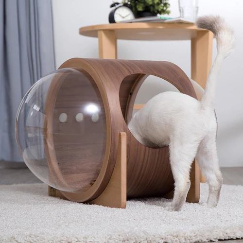 宇宙船ALPHA(ウォールナット) MZ0079 【プラザセレクト】_7