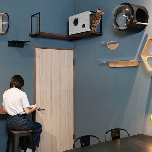 AVENUECOVER/L MZ0100 【プラザセレクト】_10