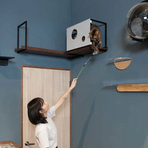 AVENUECOVER/L MZ0100 【プラザセレクト】_11