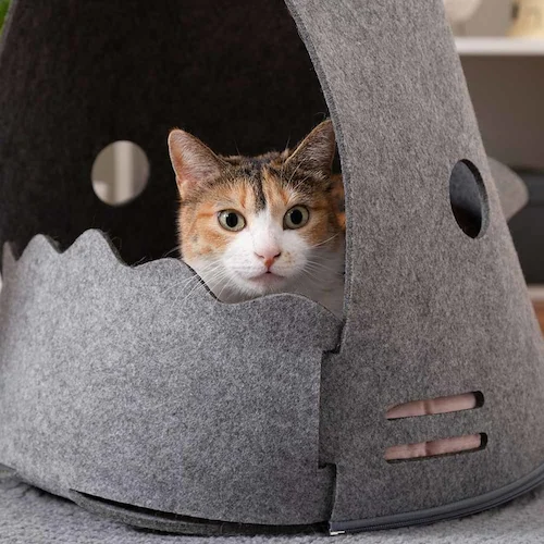 NEKOSHARK MZ0101 �y�v���U�Z���N�g�z_13