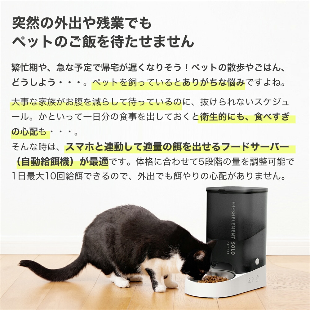 PETKIT 自動給餌機 P570-GRY グレー 7305291 │アイリスオーヤマ公式