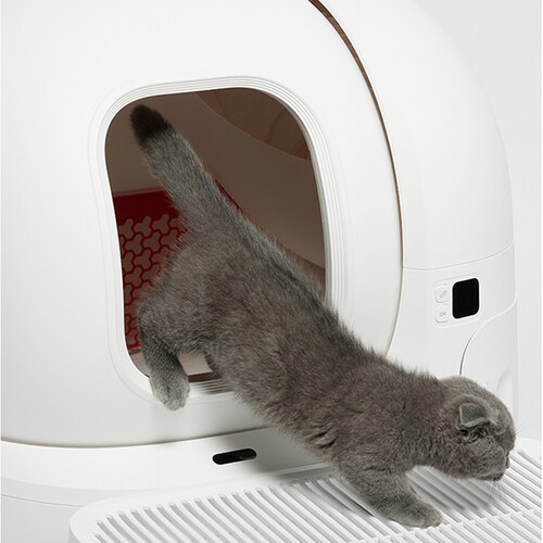 PETKIT �L�����X�e�b�v P9219 �y�v���U�Z���N�g�z_8