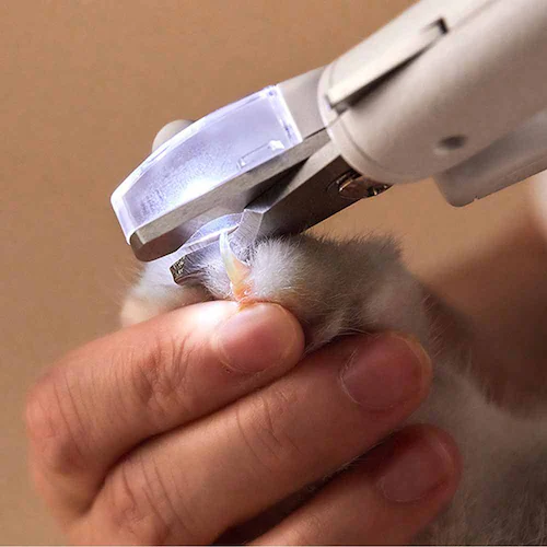 PETKIT �ܐ؂� PK403 �y�v���U�Z���N�g�z_2