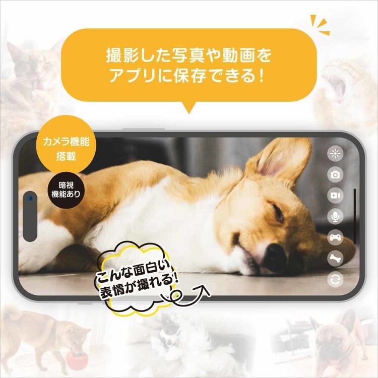 わんにゃん見守り隊 ANP-W001 7305339│アイリスオーヤマ公式通販
