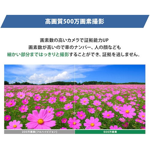 IP�h�Ɠ��p���E�`���g�J���� �݂Ă邿���5Plus �z���C�g WTW-EGDRY388GWX �z���C�g_13