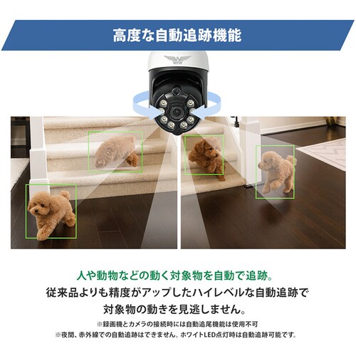 IP�h�Ɠ��p���E�`���g�J���� �݂Ă邿���5Plus �z���C�g WTW-EGDRY388GWX �z���C�g_15