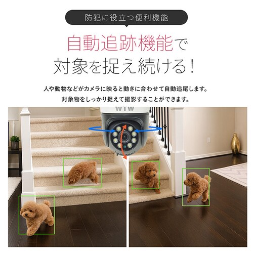 IP�h�Ɠ��p���E�`���g�J���� �S�}�����S2 WTW-E2305S2X �y�v���U�Z���N�g�z_12