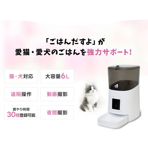 �J�����t���������a�� WTW-IPET2971 �y�v���U�Z���N�g�z_2