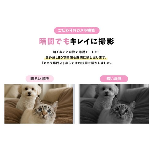 �J�����t���������a�� WTW-IPET2971 �y�v���U�Z���N�g�z_7