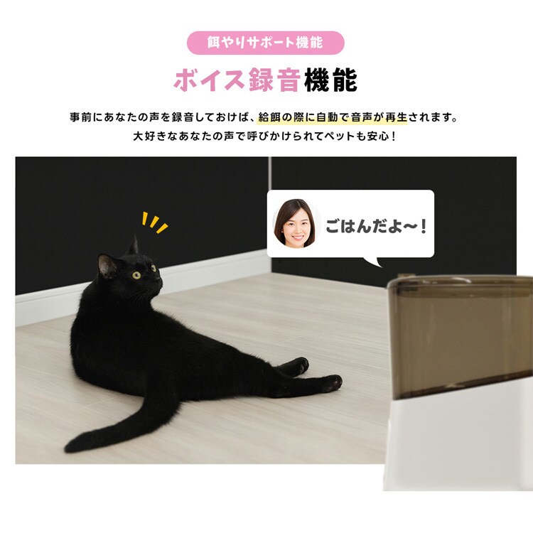 カメラ付き自動給餌器 WTW-IPET2971 7337165│アイリスオーヤマ公式