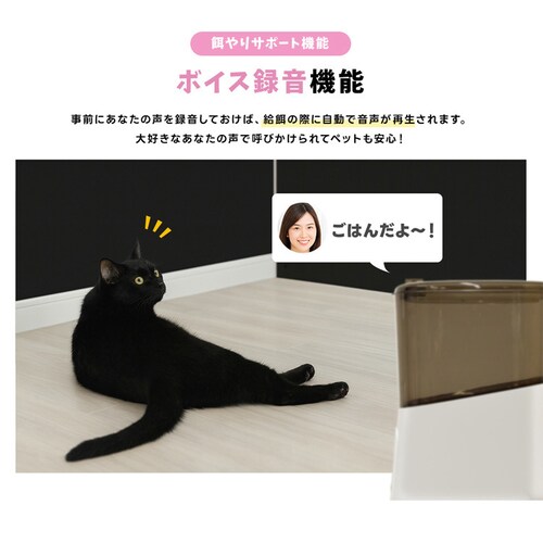 �J�����t���������a�� WTW-IPET2971 �y�v���U�Z���N�g�z_14