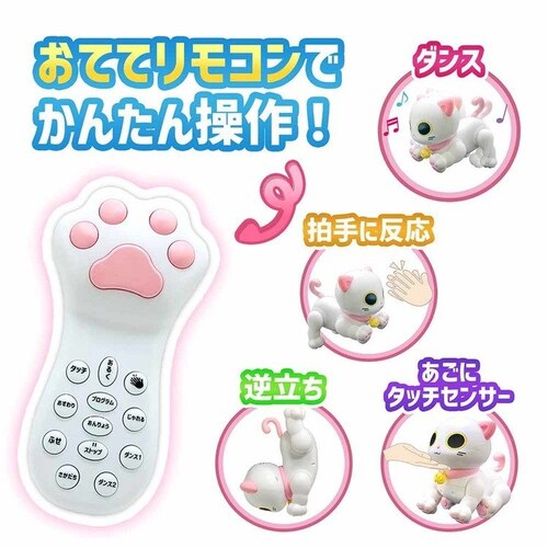 ���{�L���b�e�B �t�����h���[�I�V�� �y�v���U�Z���N�g�z_3