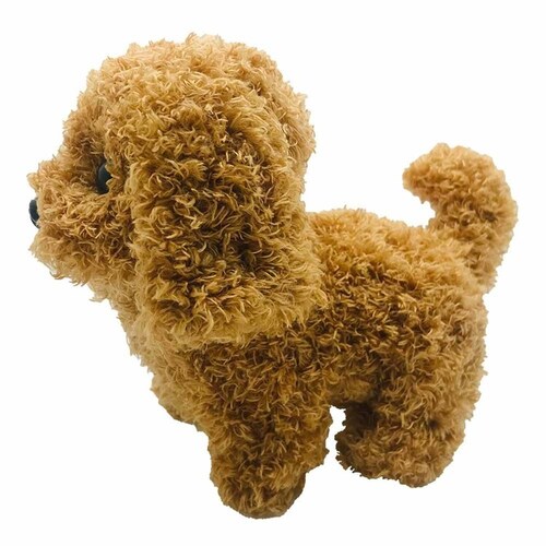 �g�R�g�R��������� �g�C�v�[�y�v���U�Z���N�g�z_2