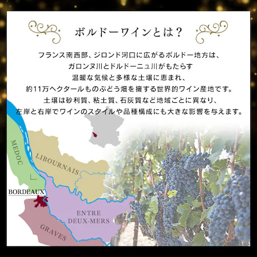 フランス・ボルドー赤ワイン 金賞 12本セット _4