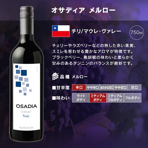 �t�����X���܃��C���Ɛ��E�̐ԃ��C�� 11�{�Z�b�g_16