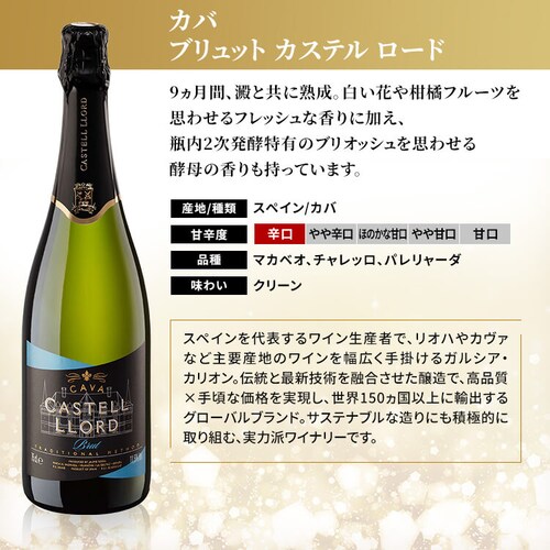  �X�p�[�N�����O���C�� 6�{�Z�b�g_9