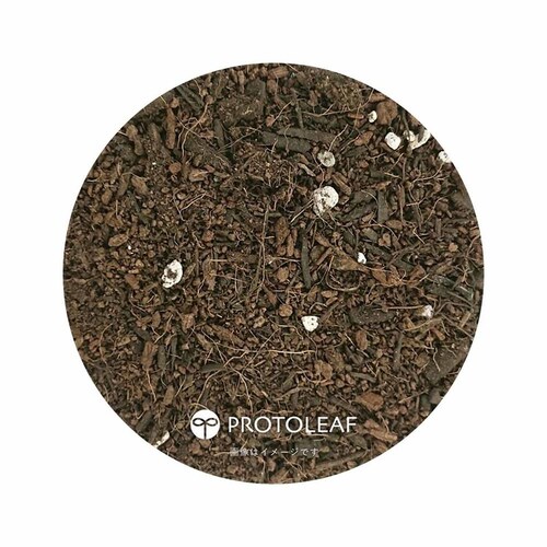 �v���g���[�t �Ԗ�ؗp����[���|�{�y 14L _4