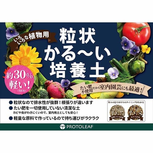 �v���g���[�t ���󂩂�`���|�{�y 5L _3