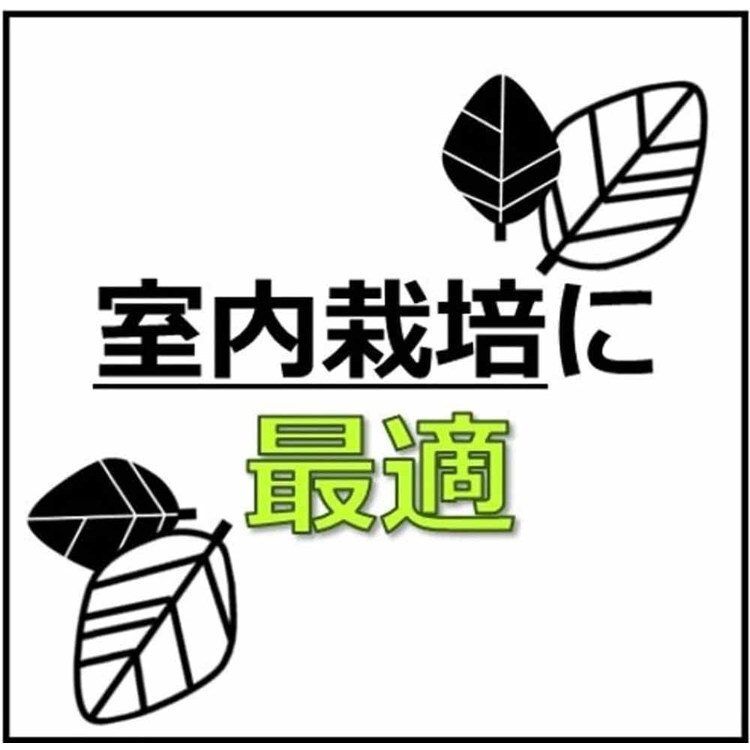 プロトリーフ 室内向け観葉・多肉の土10号鉢 8.4L 7337641│アイリス