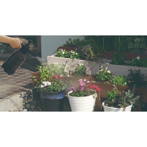 �}�W�J���E�H�b�V���K�� �u���b�N _12