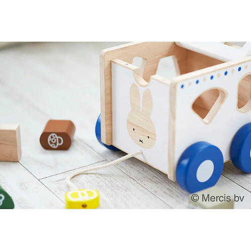 �j�`�K�� ������ۃp�Y���J�[ DB240 _2