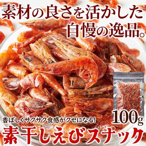 ���{�� �y2�z�f�������уX�i�b�N 100g SM00011393 �y�v���U�Z���N�g�z_7