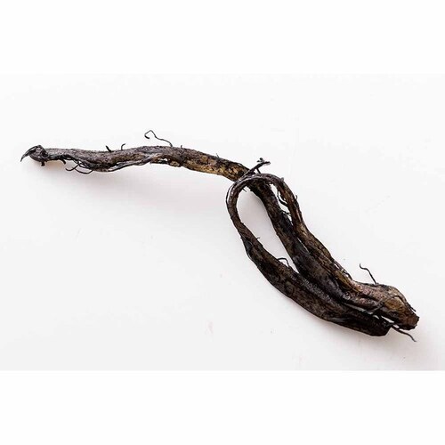 �O�F�H�i �������݂������� 55g SM00011551 �y�v���U�Z���N�g�z_6