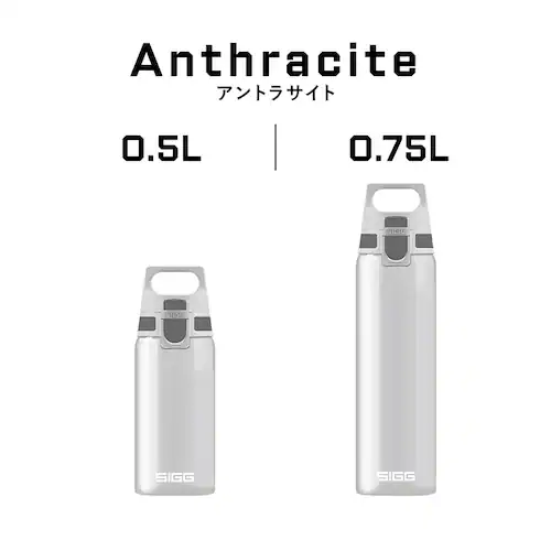 水筒 500ml ワンプッシュ 直飲み 軽量 持ち手 ハンドル付 ベリー_6