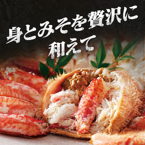 �k�C���Y�{�C���уK�j 570g _3