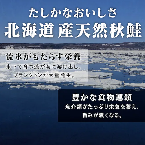 �k�C���Y������ݖ���100g�~2 _5