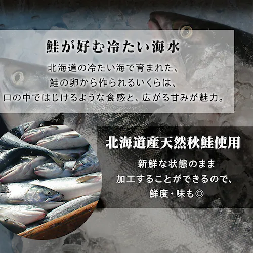 �k�C���Y������ݖ���100g�~2 _6