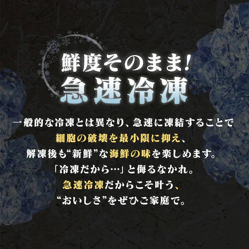 �k�C���Y ������Ƃ��h�g�Z�b�g�i5��j _9