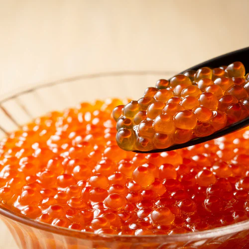 �k�C���@�C�N���Z�b�g _2