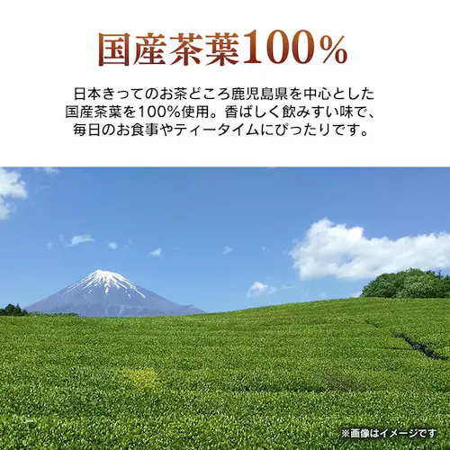 �m���� �ق����� �e�B�[�o�b�O �y�v���U�Z���N�g�z_2