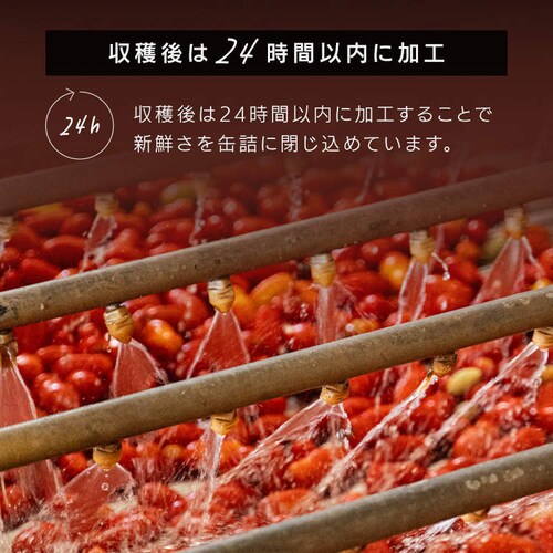�g�}�g�ʃz�[��400g_5