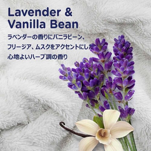 P��G �_�E�j�[ �E���g���\�t�g �J�[�� ���x���_�[���o�j���r�[�� 1.66L �y�v���U�Z���N�g�z_3