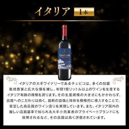 フランス金賞ワインと世界の赤ワイン 11本セット_3