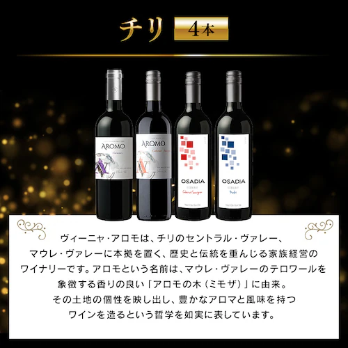 フランス金賞ワインと世界の赤ワイン 11本セット_5