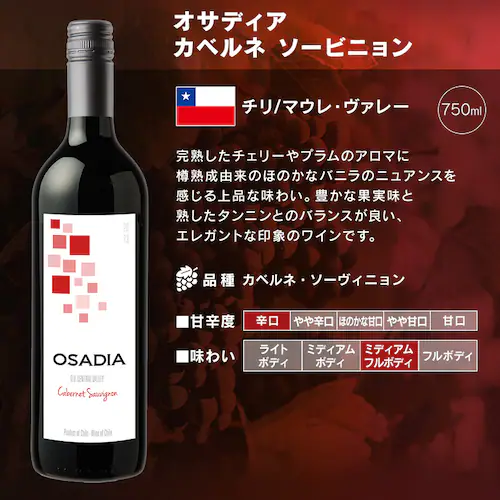 フランス金賞ワインと世界の赤ワイン 11本セット_9
