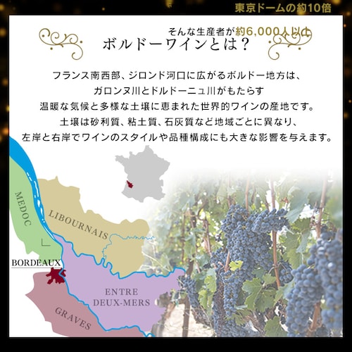 フランス金賞ワインと世界の赤ワイン 11本セット_10